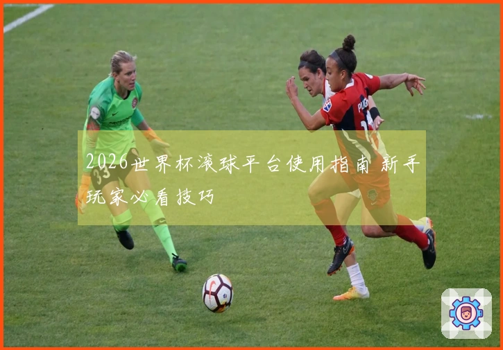 2026世界杯滚球平台使用指南 新手玩家必看技巧