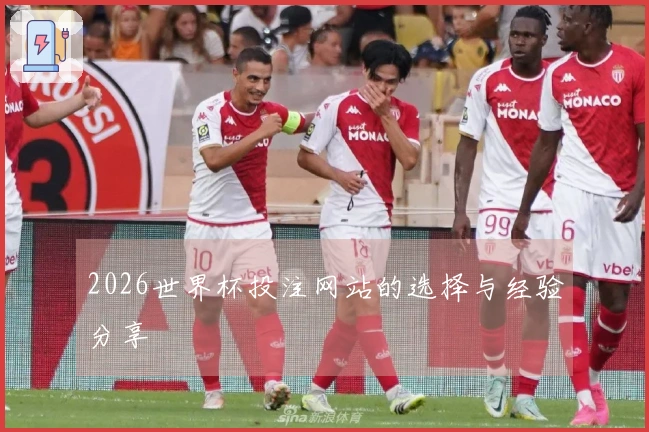 2026世界杯投注网站的选择与经验分享
