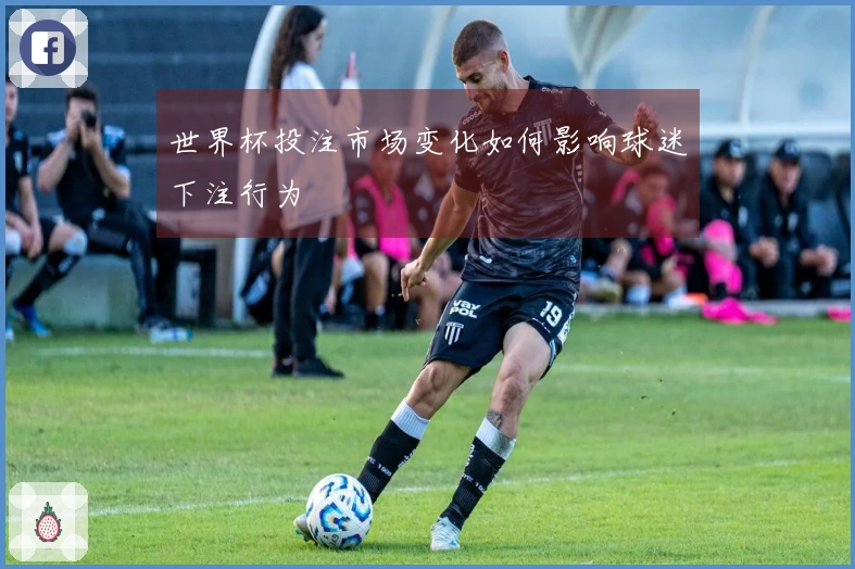 世界杯投注市场变化如何影响球迷下注行为