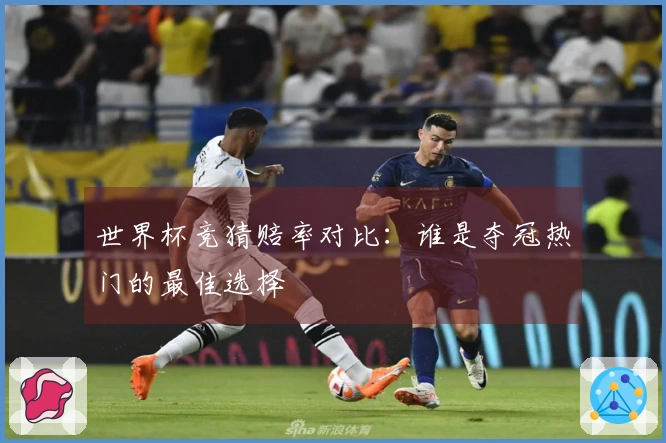 世界杯竞猜赔率对比：谁是夺冠热门的最佳选择
