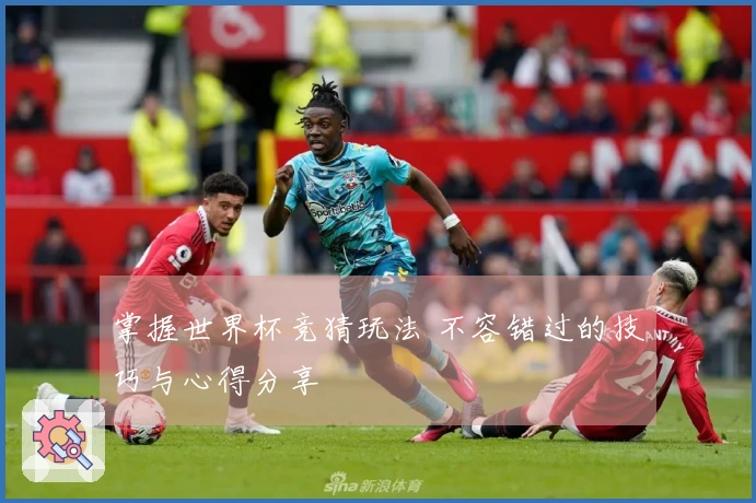 掌握世界杯竞猜玩法 不容错过的技巧与心得分享