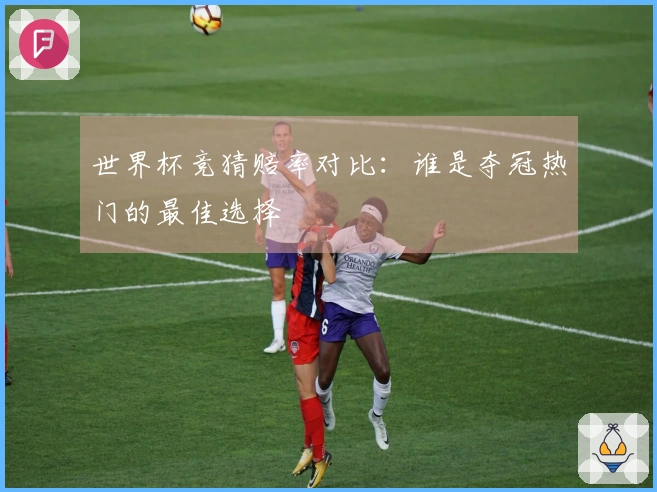 世界杯竞猜赔率对比：谁是夺冠热门的最佳选择