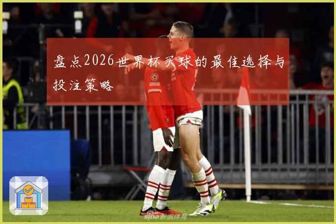 盘点2026世界杯买球的最佳选择与投注策略