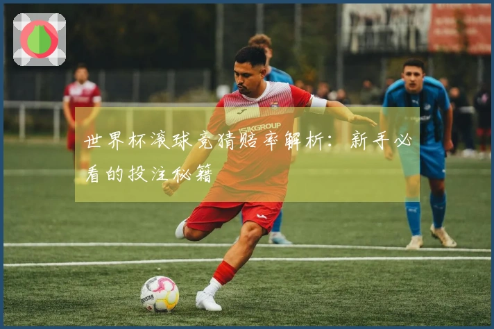 世界杯滚球竞猜赔率解析：新手必看的投注秘籍