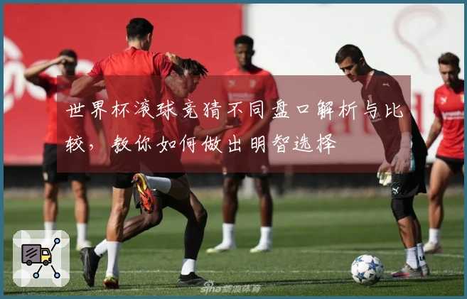 世界杯滚球竞猜不同盘口解析与比较，教你如何做出明智选择