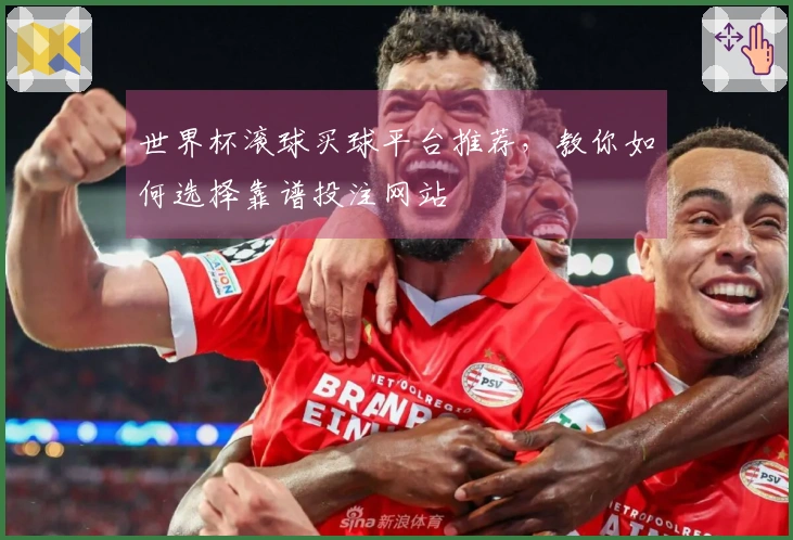 世界杯滚球买球平台推荐，教你如何选择靠谱投注网站