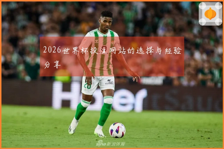 2026世界杯投注网站的选择与经验分享