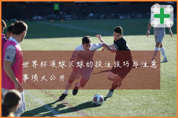 世界杯滚球买球的投注技巧与注意事项大公开